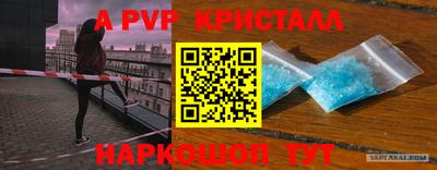 прущие крисы Сланцы