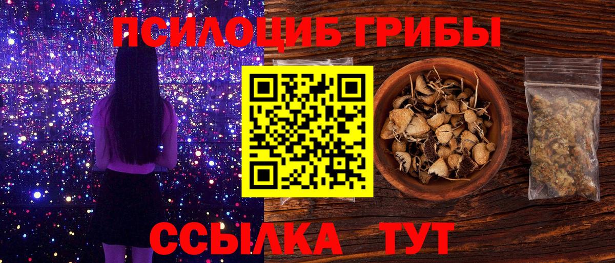 Галлюциногенные грибы Psilocybe  Галлюциногенные грибы Psilocybine cubensis  Вход с VPN  Отрадное 