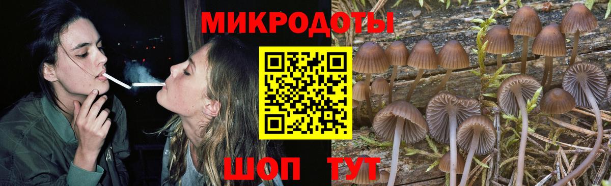 Псилоцибиновые грибы мухоморы Отрадное